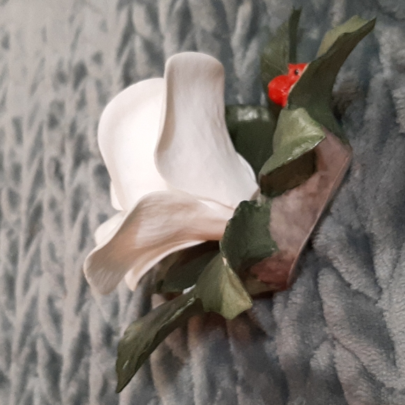 White Rose - Picture 2 of 4